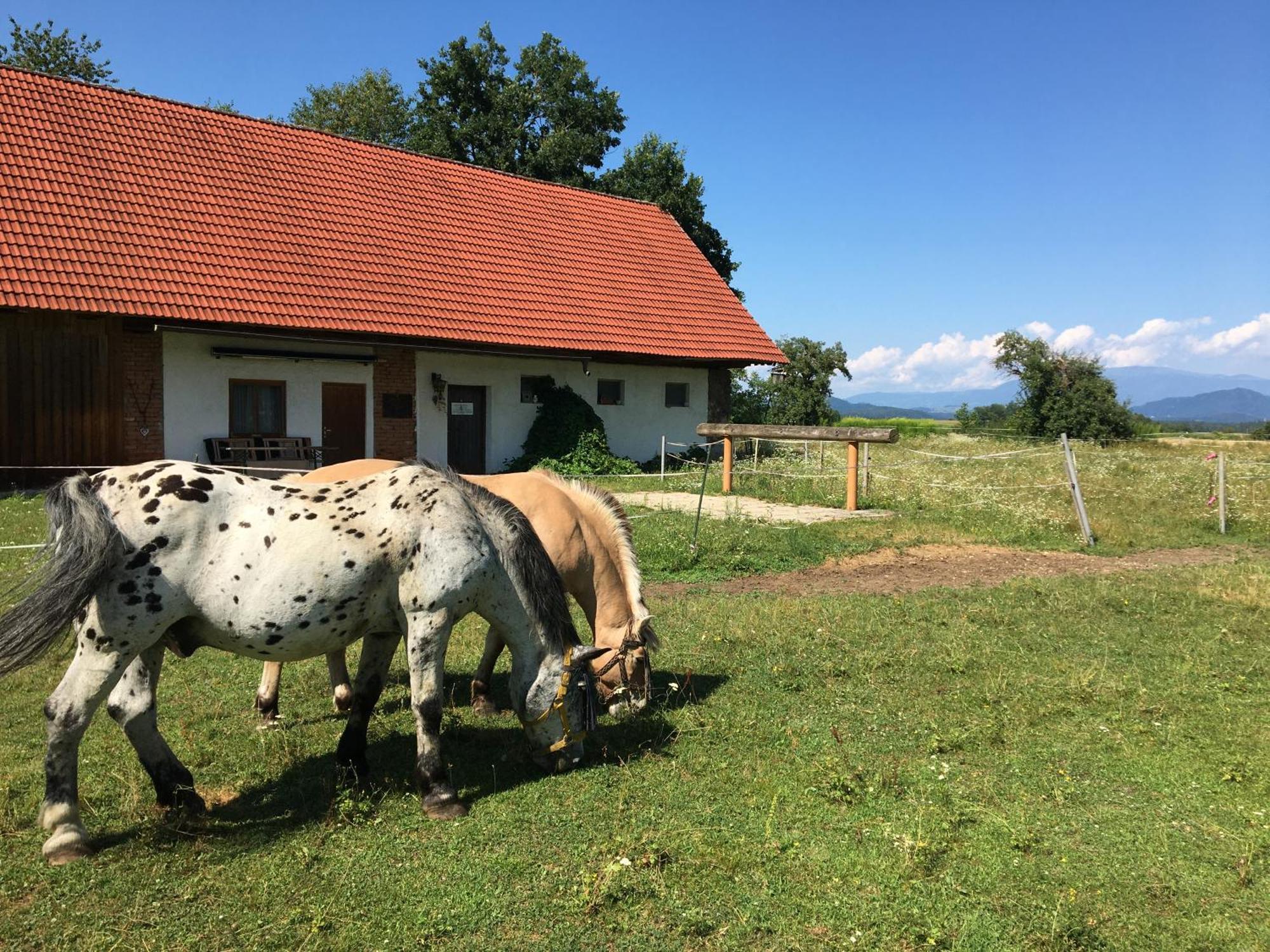 Hotel Skorianzhof Eberndorf Exteriér fotografie